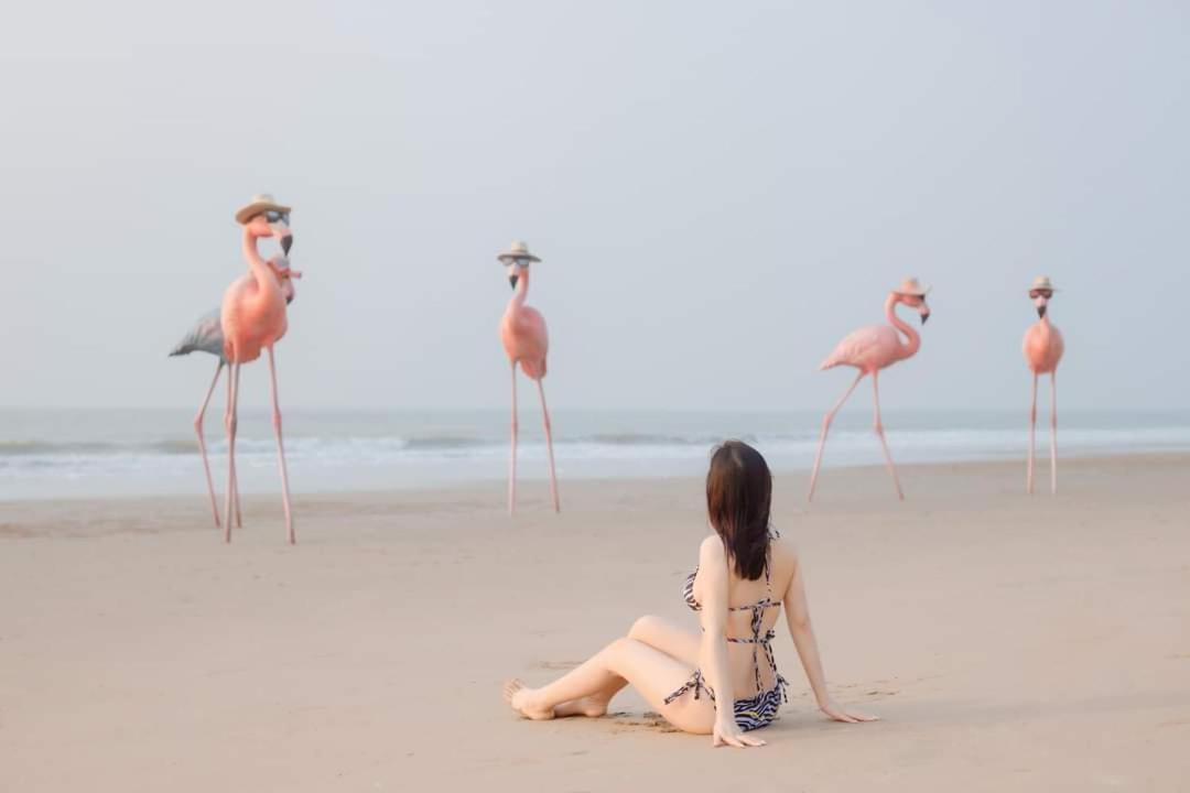 Ib306 Tu Doanh - Flamingo Hai Tien Thanh Hóa Exteriér fotografie